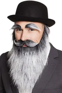 Boland Baard Met Snor En Wenkbrauwen