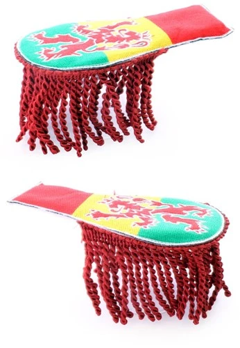 Party Xplosion Epaulette Carnaval Limburg Met Leeuw - Afbeelding 2