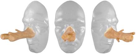 Grimas Latex Boom Neus - Afbeelding 2