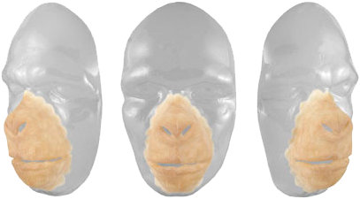 Grimas Latex Chimpansee Gezicht - Afbeelding 2