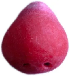 Grimas Latex Clownsneus Voorheen Nr 6