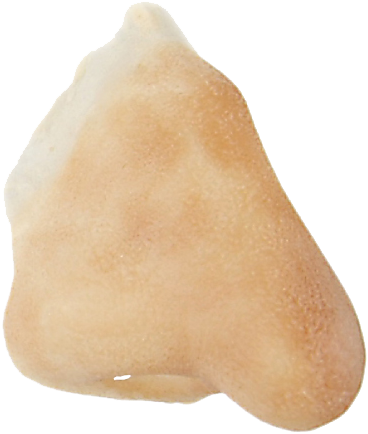 Grimas Latex Haakneus