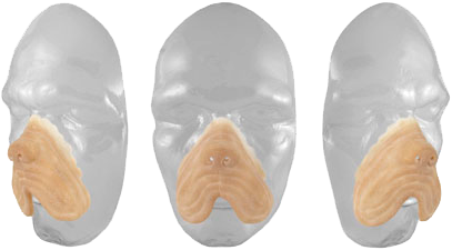 Grimas Latex Hondensnuit - Afbeelding 2