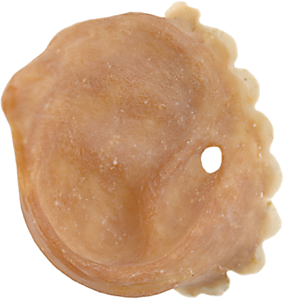 Grimas Latex Varkens Oren - Afbeelding 2