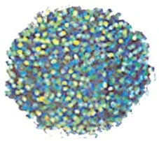 Sibel Haar Mascara Multicolour