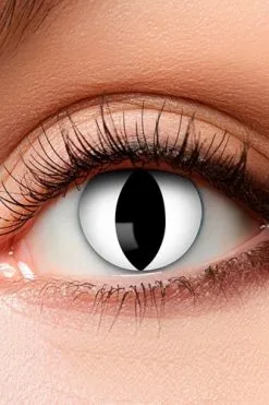 Boland Kat Kleurlenzen