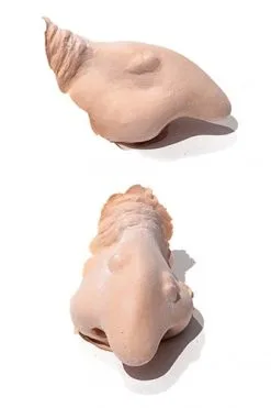 PXP Professional Colours PXP Latex Heksenneus