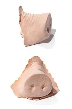 PXP Professional Colours PXP Latex Varkensneus