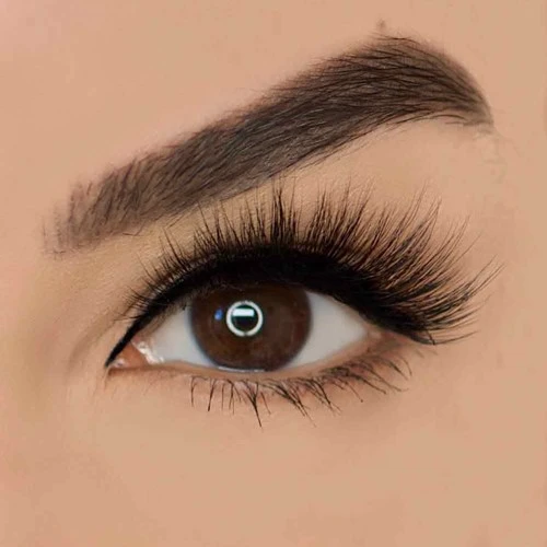 Queen Magnetic Wimper Vani Cosmetics