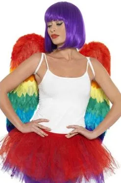 Smiffy's Regenboog Veren Vleugels 60x60cm